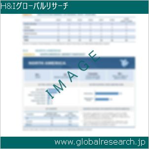 グローバルリサーチ調査レポートのイメージ